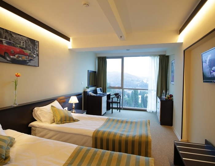 Стандарт двухместный - Пансионат «Автомобилист»